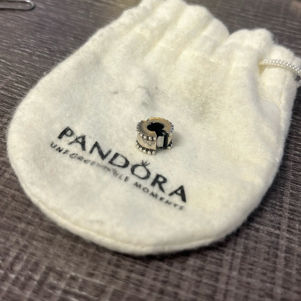 Pandora Clip/Spacer Charm